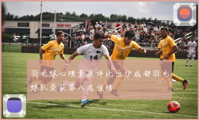 羽毛球心理素质评比出炉成都羽毛球队荣获第八名佳绩