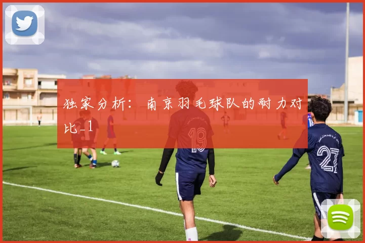 独家分析：南京羽毛球队的耐力对比_1