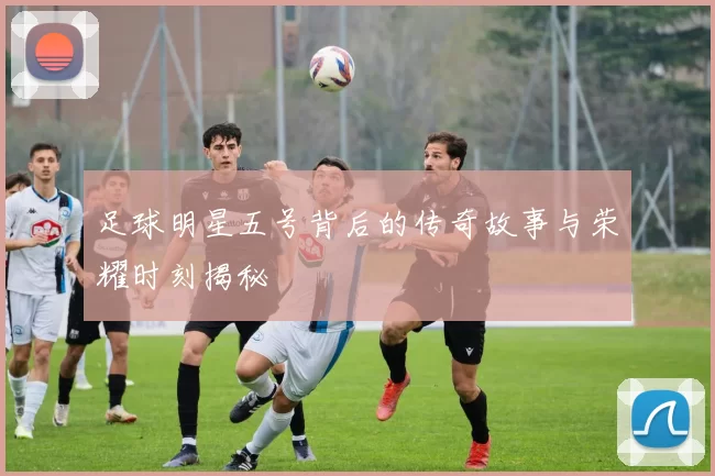 足球明星五号背后的传奇故事与荣耀时刻揭秘