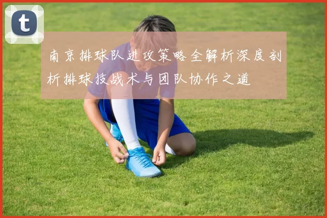 南京排球队进攻策略全解析深度剖析排球技战术与团队协作之道