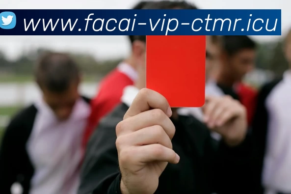 乐竞体育平台生态图